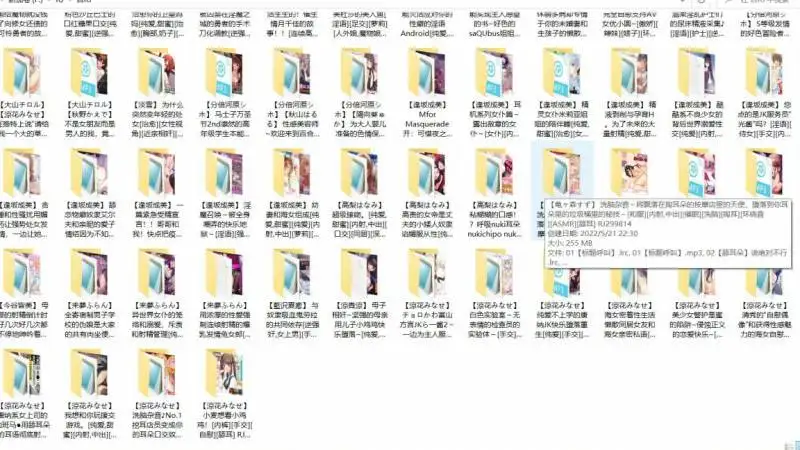百部日语汉化音声RJ资源合集【100v30G】插图