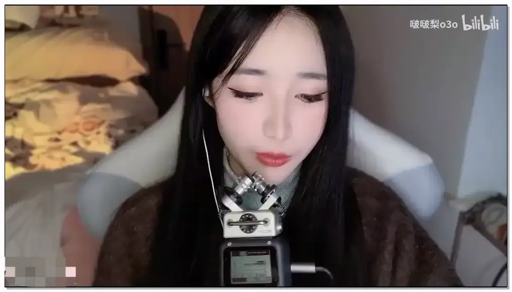 啵啵梨    zoom录音笔分层口月空音回孔雀鱼插图