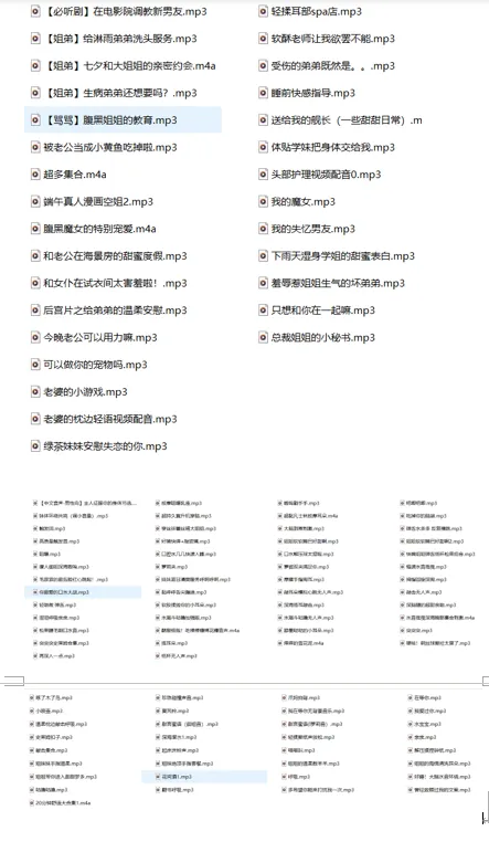 cv被窝小精灵ASMR剧情中文音声【117A/1.75g】插图1