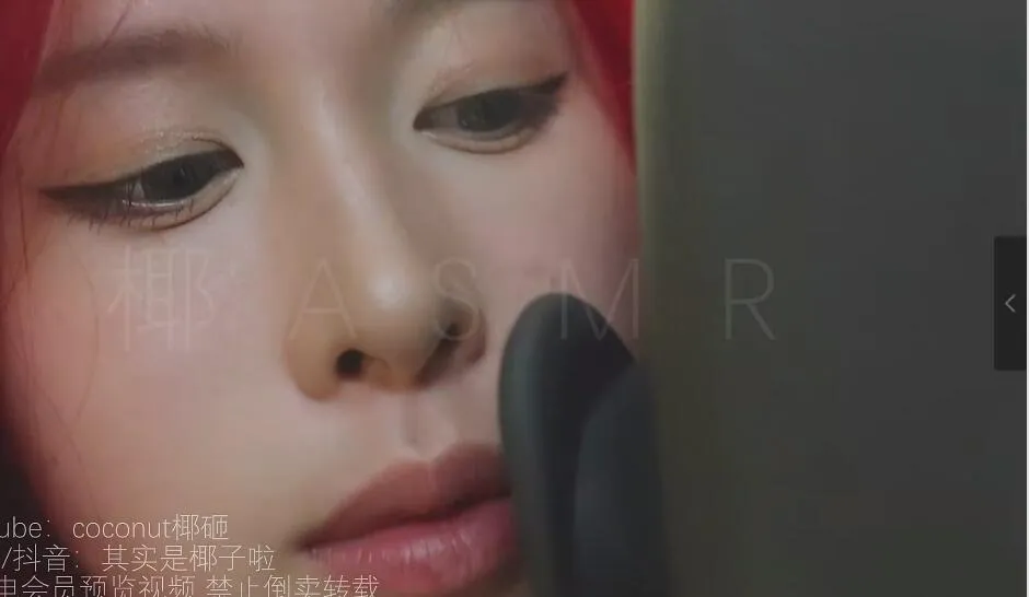 椰子ASMR 大脸碎碎念天鹅-讲解插图