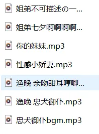 荔枝 渔晚 R18合集7A剧情音声ASMR【236.5M】插图1