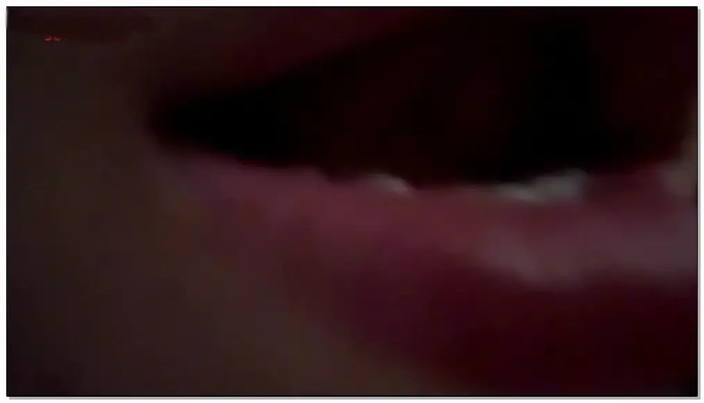是的没错    小狗，想妈妈了吗插图