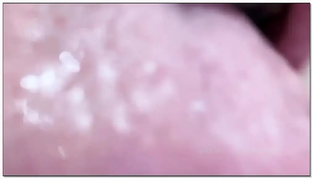 YUUU ASMR  把你舔干净插图