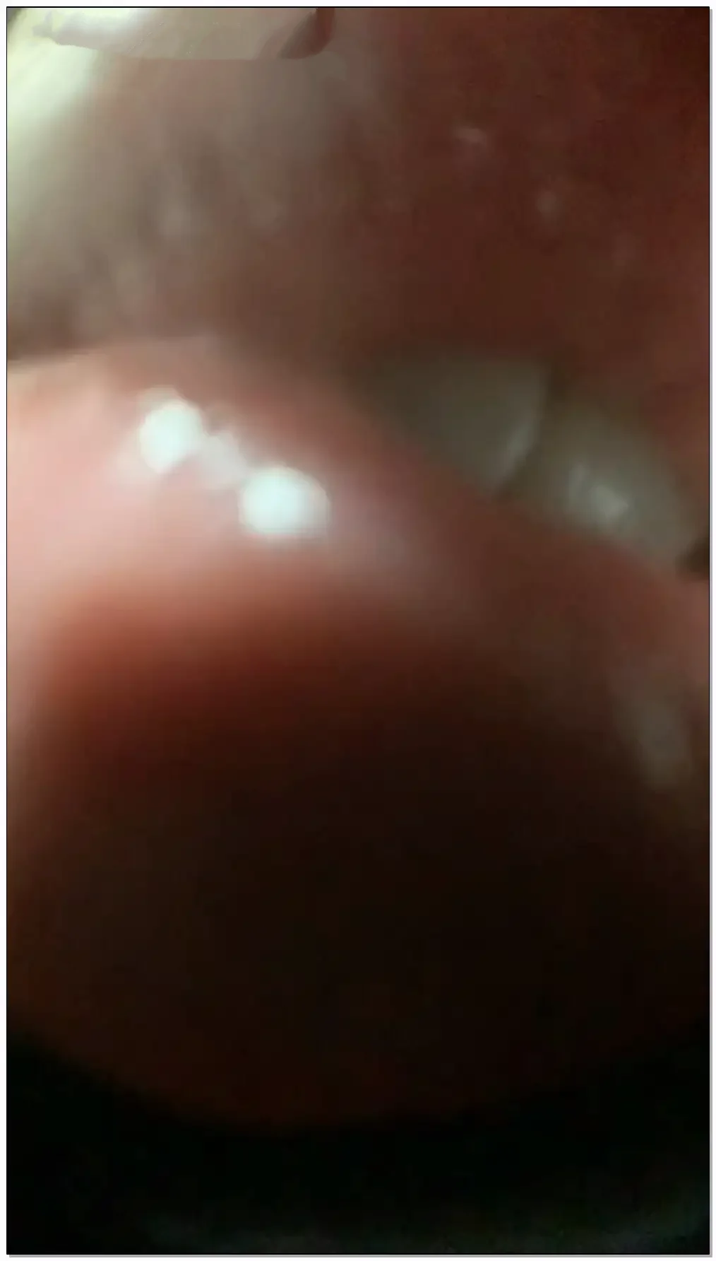 沛沛 酸奶味的麦克风 嗦喽插图