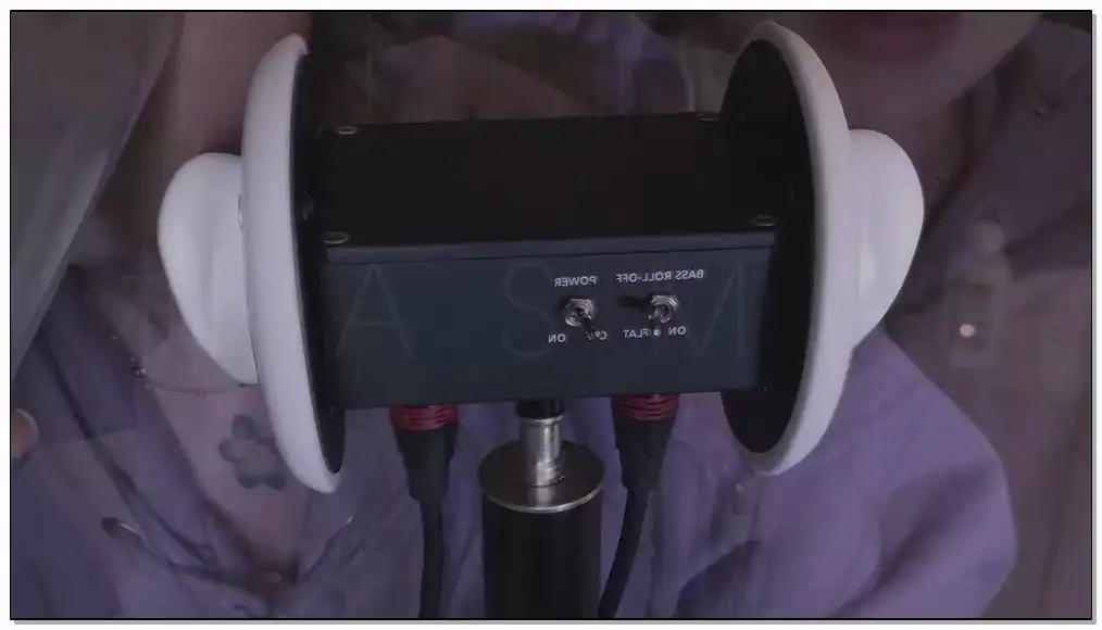 椰子ASMR 固定视角慢速天鹅插图