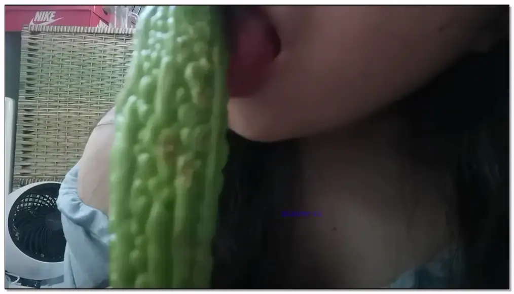 叫我懒羊羊大王咯 k苦瓜插图